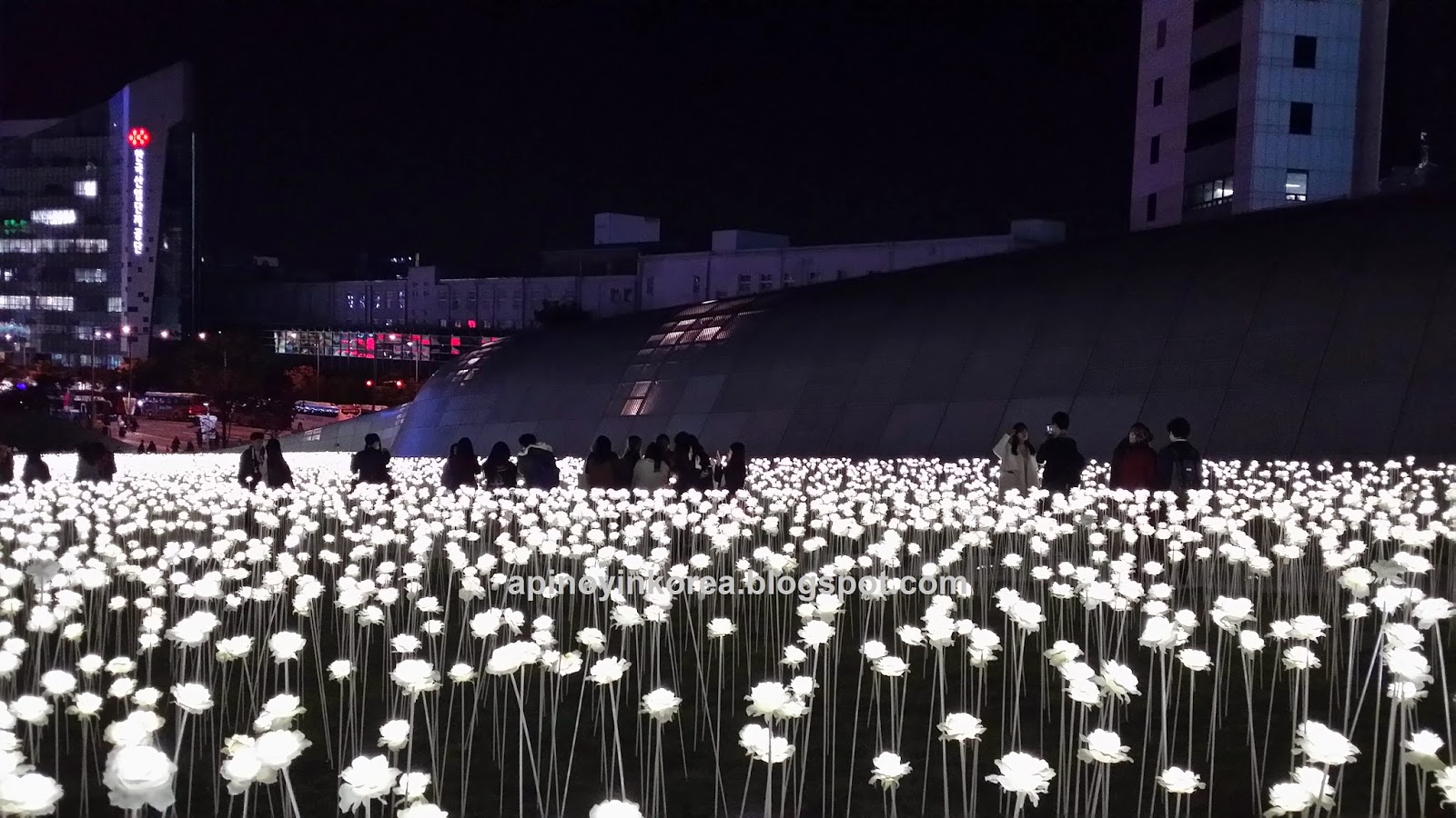 A Pinoy In Korea Dongdaemun S 20 000 White Flowers Garden By Day I Don T Know Who Planted All These White Flowers But Whoever They Were It Must Have Been A Huge Task Of Not Only Filling Up The Spots With Thousands
