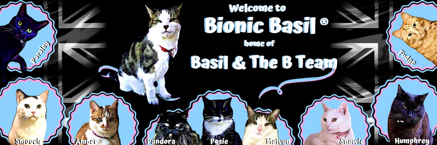 Basil's Blog