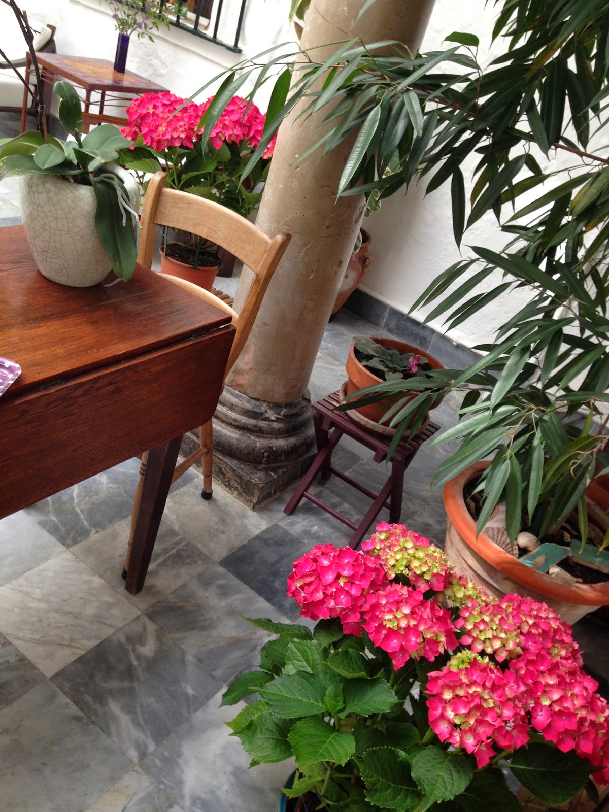 la casa grande: Las hortensias y el sur