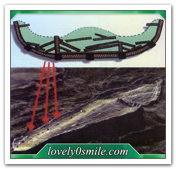 العجائب و الغرائب من الامم الهالكة قوم نوح