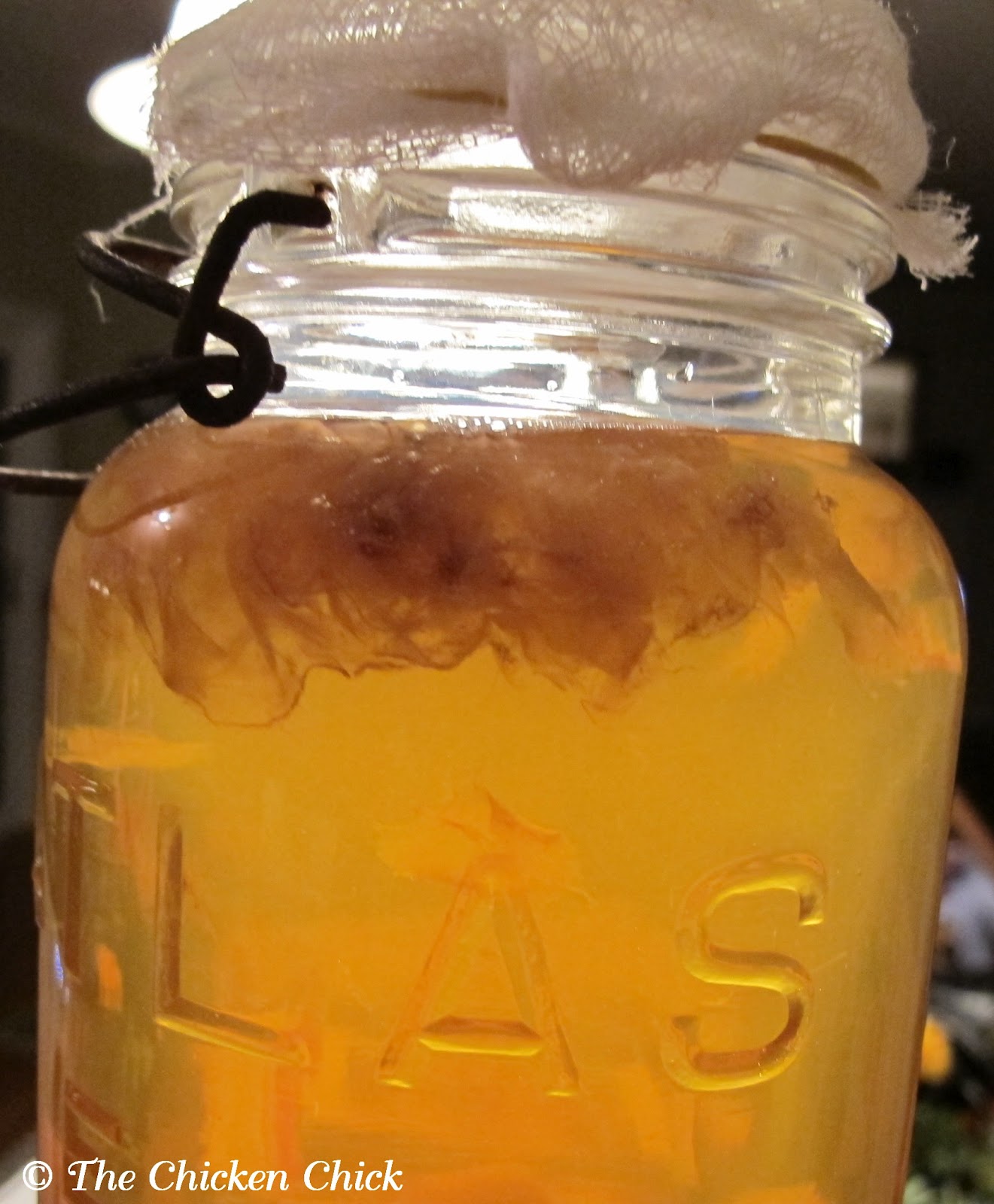 Make Raw Apple Cider Vinegar (ACV) with the Mother for pennies a gallon