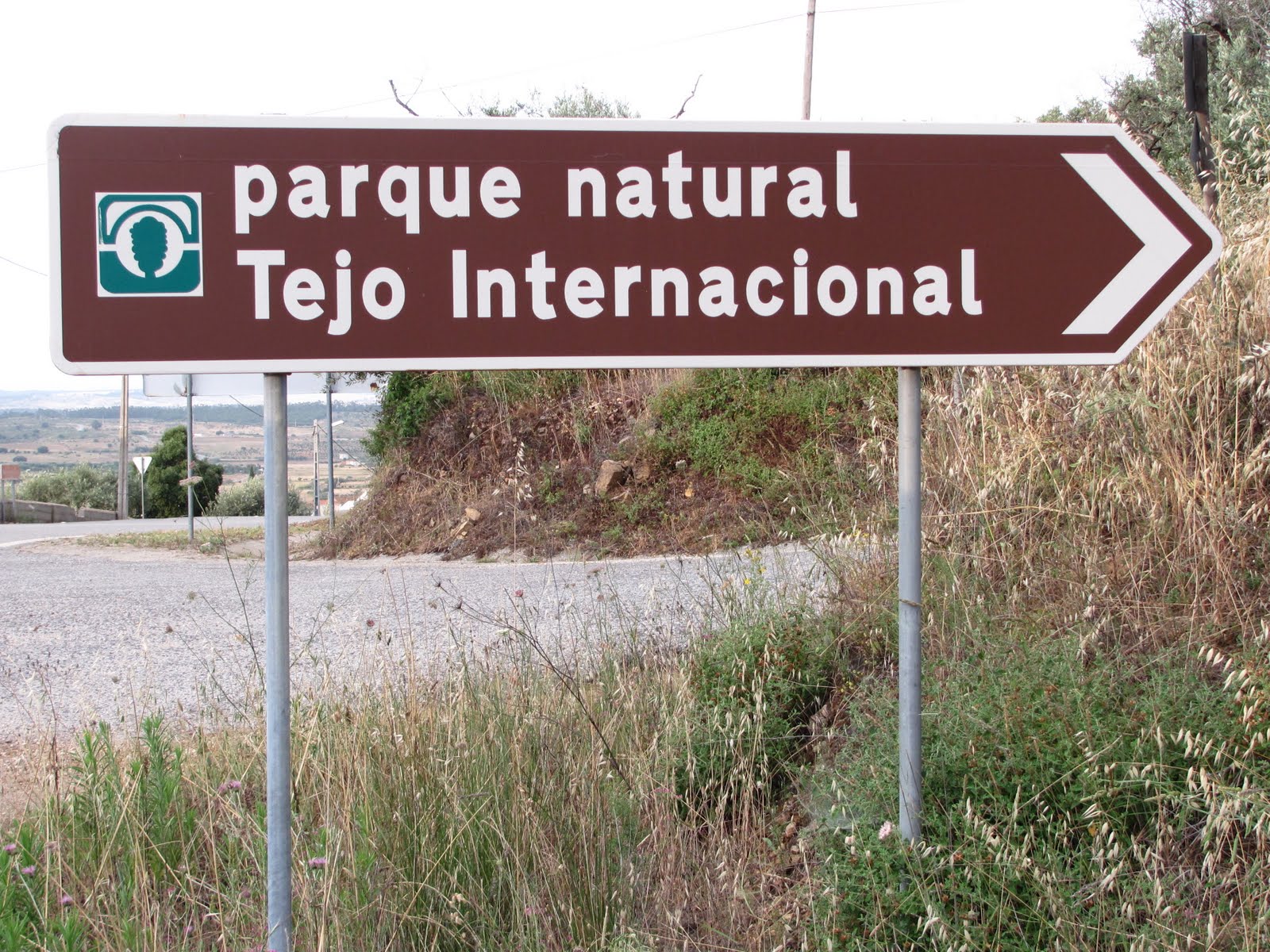 CR5WFF Fotos Parque Natural do Tejo Internacional CTFF 13