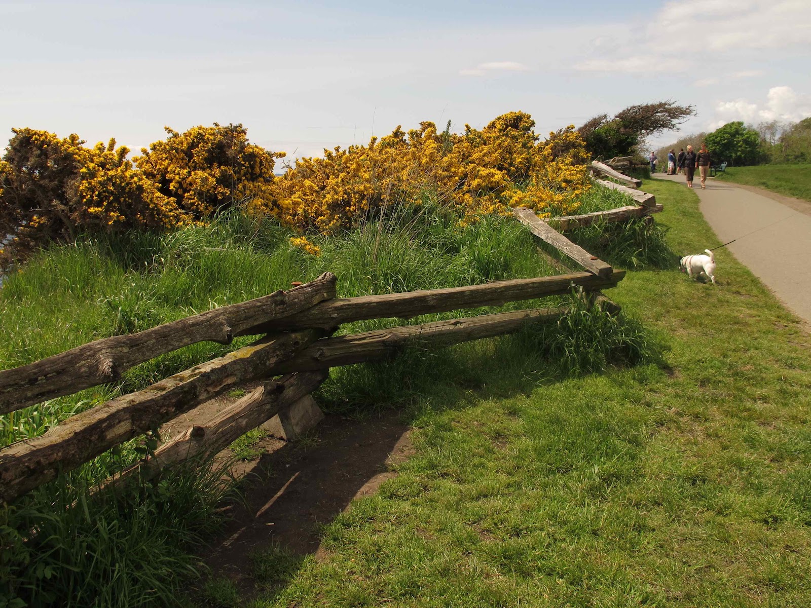 [Image: IMG_1426.jpg]