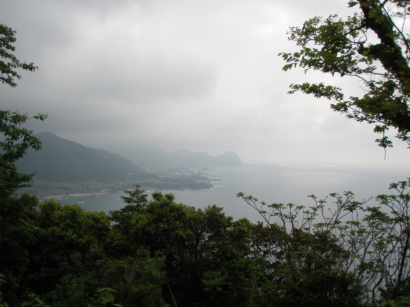 決断科学工房 Decision Science Laboratory 7月 13