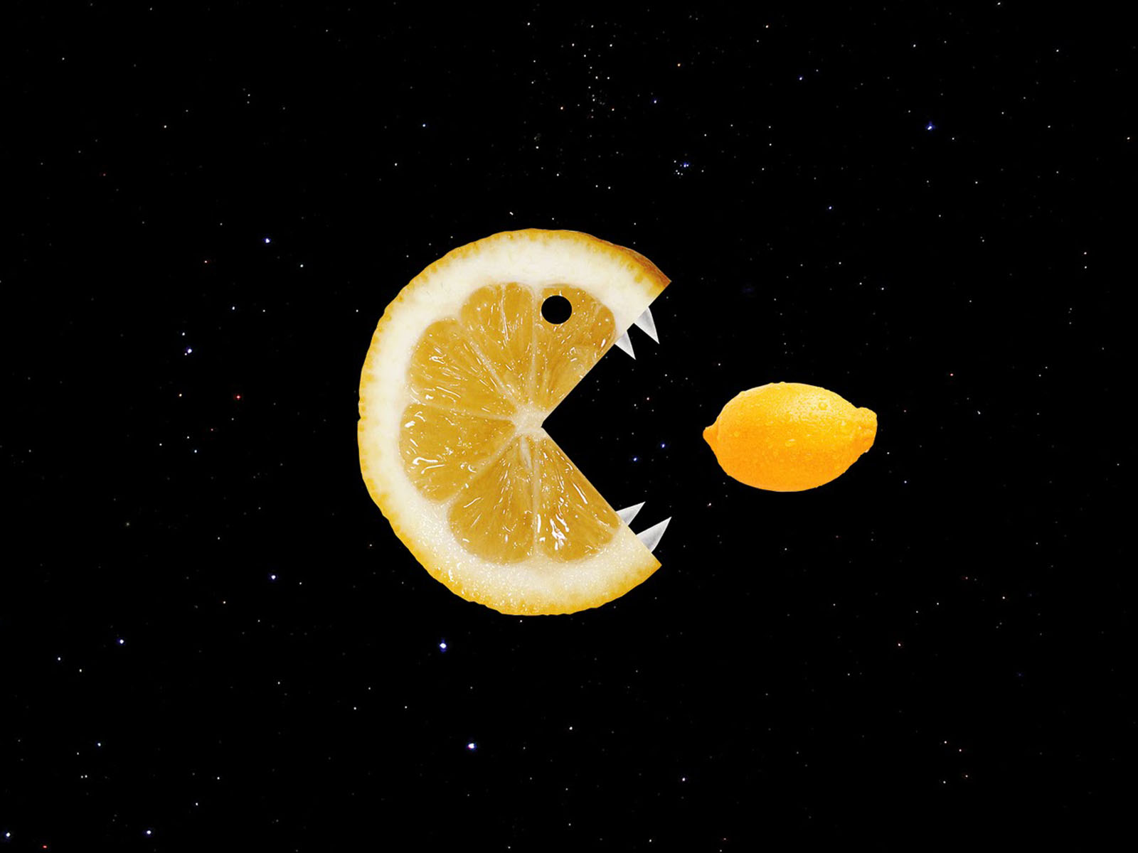 http://2.bp.blogspot.com/-y7pCbizG6wY/T3CY6PqYE_I/AAAAAAAABVc/i1MOgpTHgEc/s1600/Funny%2BLemon%2BWallpapers%2B2.jpg