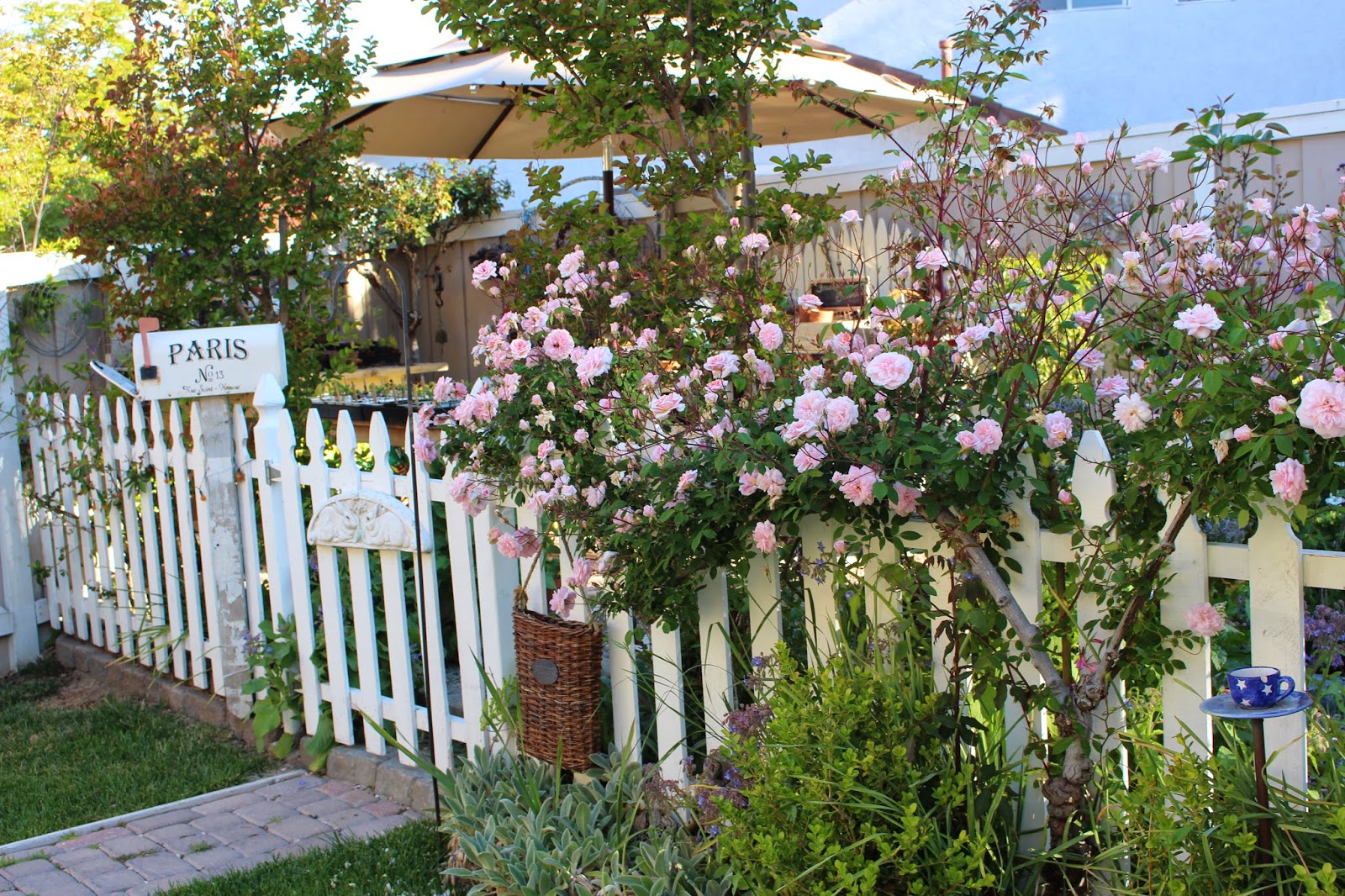 Rooted In Thyme Rooted in Thyme Gardens and Simple & Sweet Fridays 114