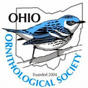 OOS Logo