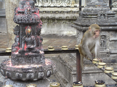 Nepal, Swayambhunath Stupa in Kathmandu   by E.V.Pita (2006)  http://picturesplanetbyevpita.blogspot.com/2015/05/nepal-swayambhunath-stupa-in-kathmandu.html   Estupa de Swayambhunath en Katmandú  por E.V.Pita (2006)