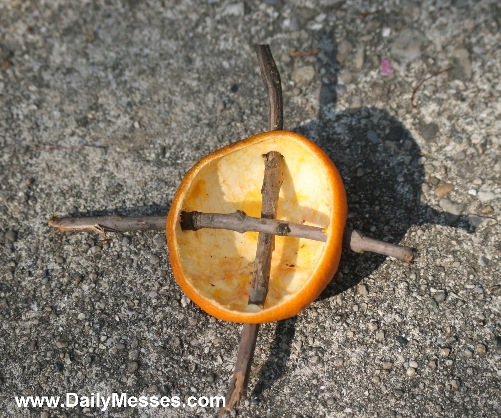 Daily Messes Orange Bird Feeder