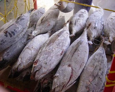 Salinanberkata demikian ketika diminta mengulas beberapa kenyataan