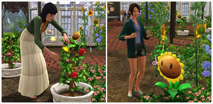 Скачать торрент the sims 3 антология