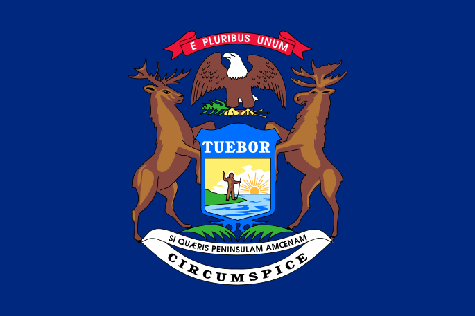Apparently This Matters All 50 State Flags Ranked