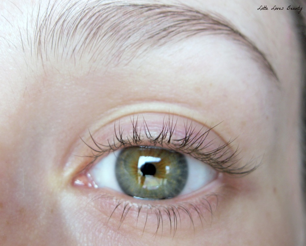 Mijn all time favourite mascara's! Lotte Loves Beauty