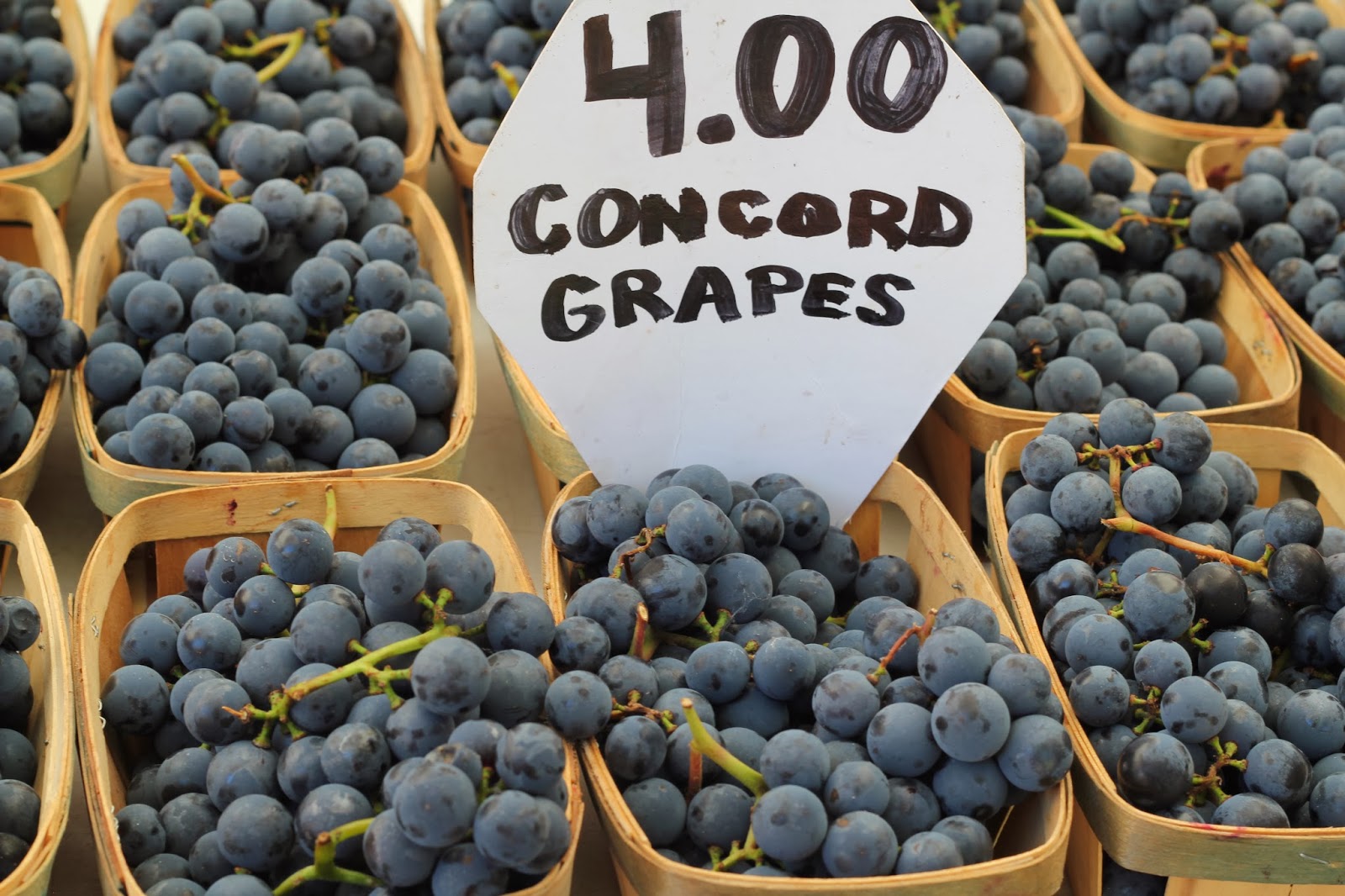 Photo Gallery Thursday " Concord Grapes" NYC, Style & a little Cannoli