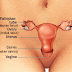 Tips Mencegah Keputihan Mengharumkan Vagina thumbnail