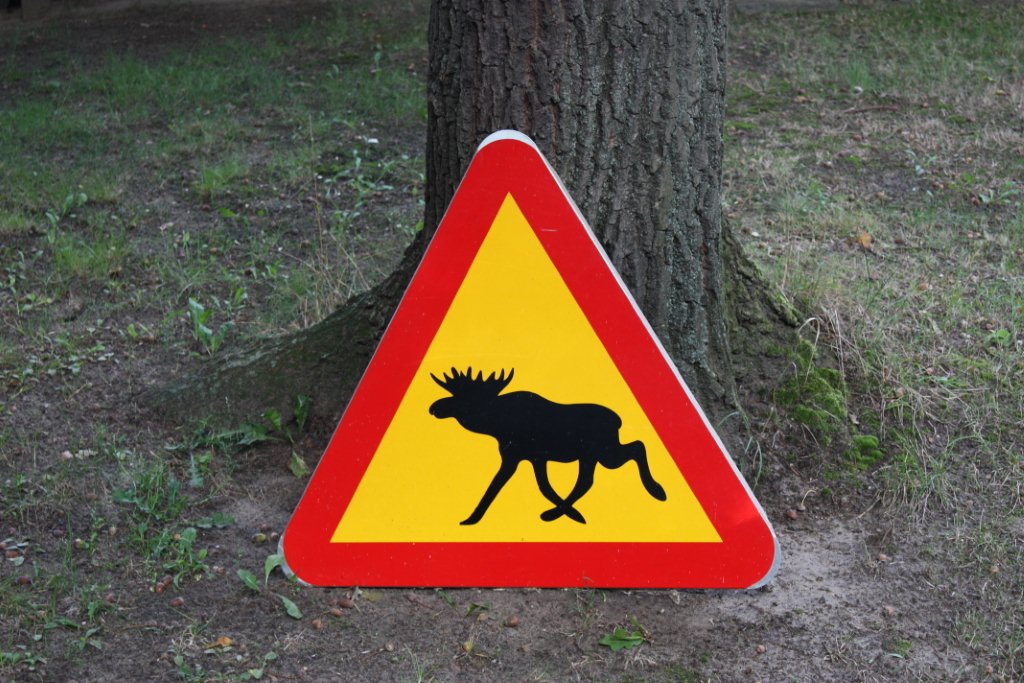 Licht Im Kuddelmuddel Der Blog Zum Deutschlernen 2012