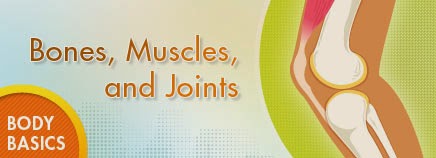  BONES, MUSCLES AND JOINTS