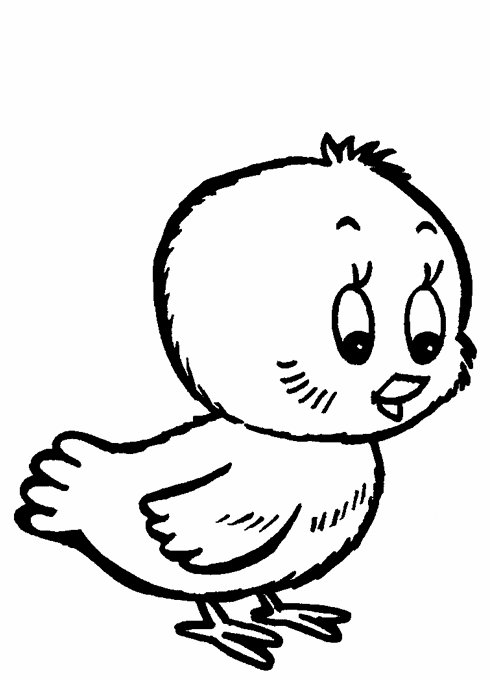 DIBUJO DE POLLO dibujo de pollo: