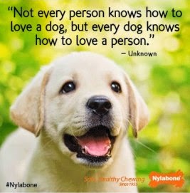 Myworld Dog Is A Man Best Friend