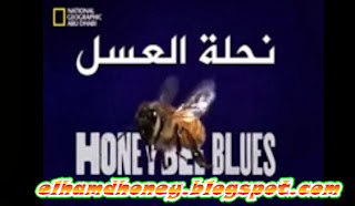 [ وثائقي ] :: نحلة العسل في خطر كبير Elhamdhoney.blogspot.com+(2)
