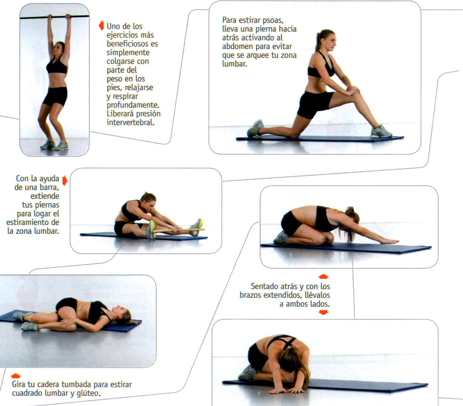 Ejercicios+De+El+Dolor+Lumbar ... ejercicios de estiramiento para esos grupos musculares responsables de