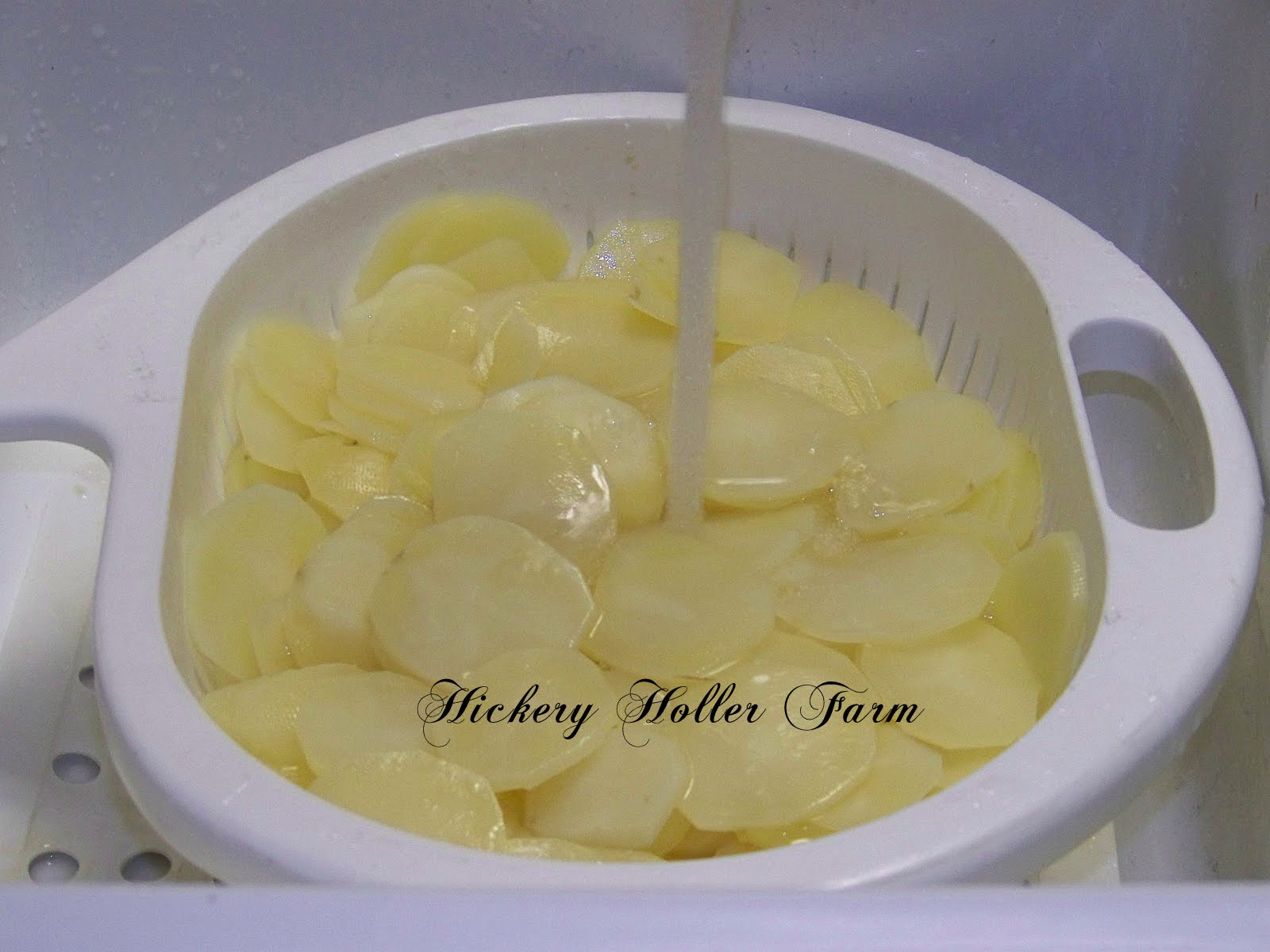 Hickery Holler Farm Dehydrated Sliced Potatoes