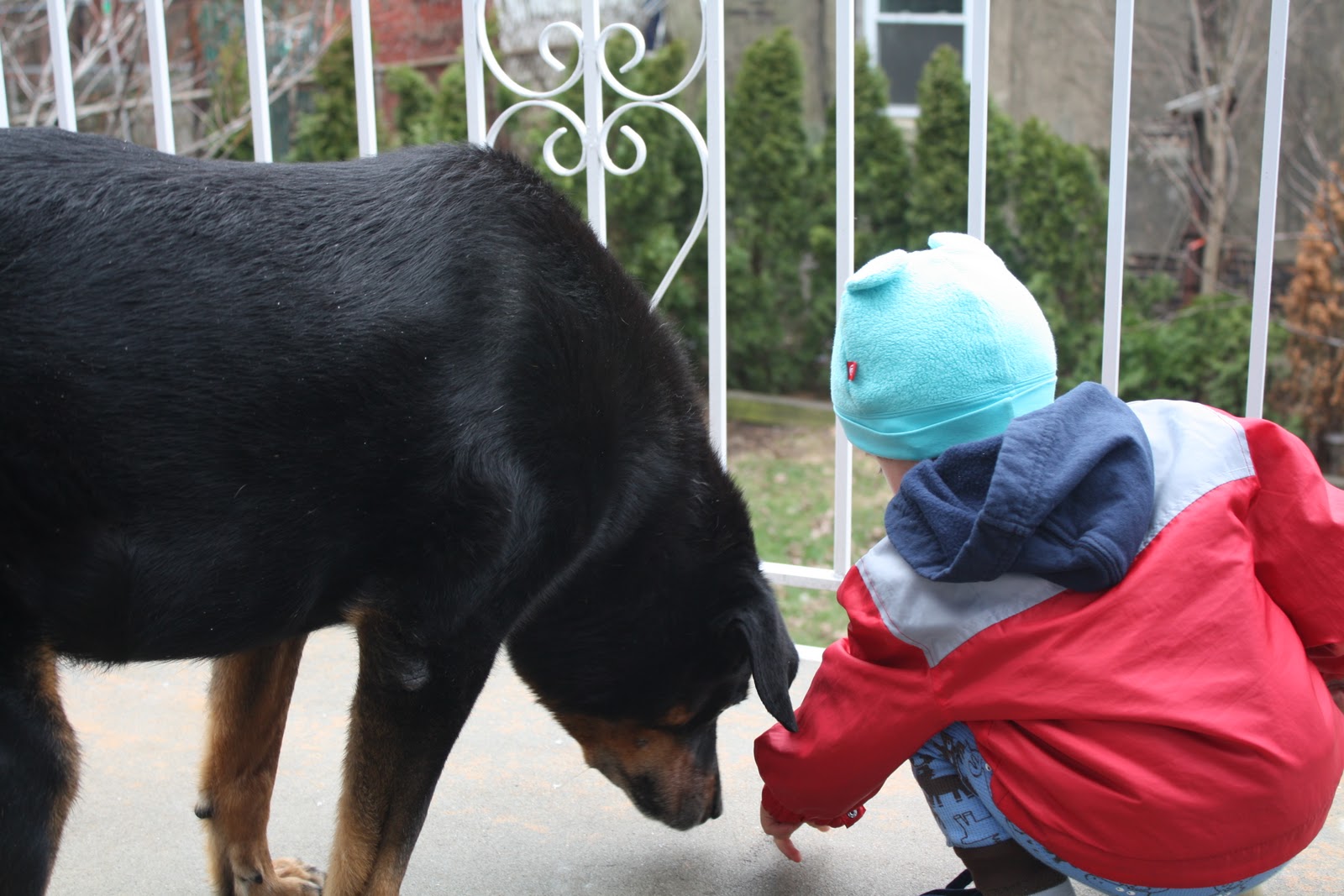 Sparrows & Spatulas March 2011