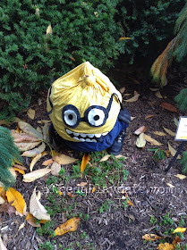 Minion  | ColorFall at CLE Botanical Garden