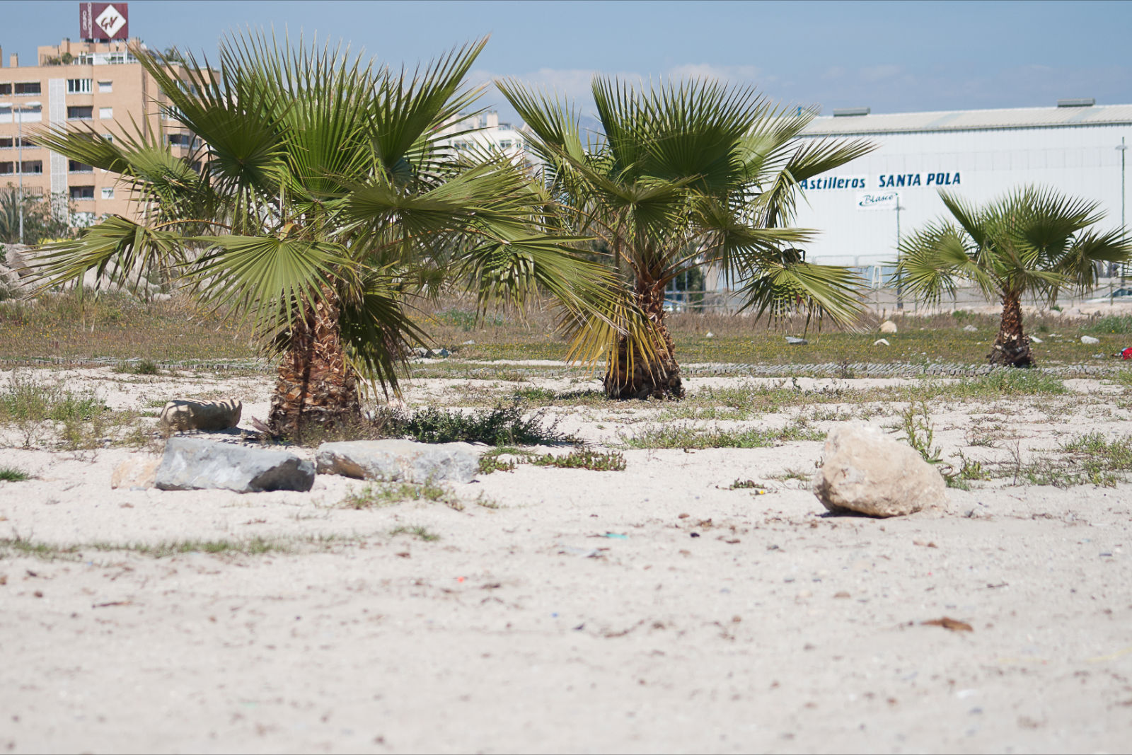 Día tras día Playa de San Gabriel Alicante