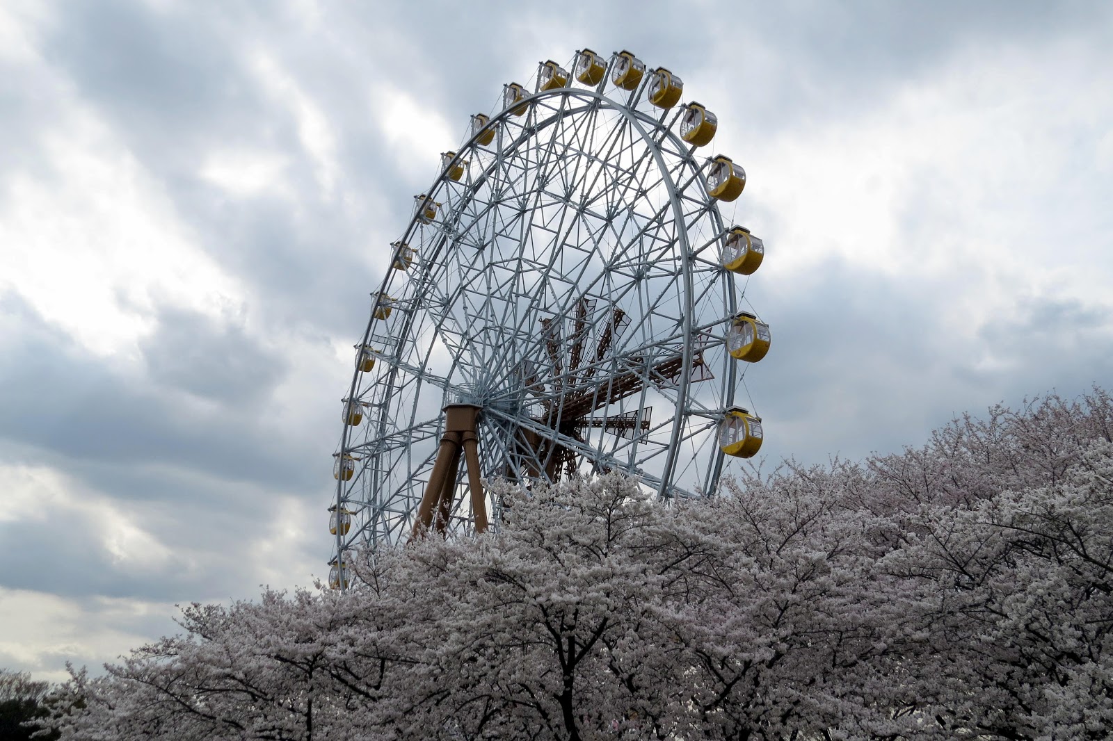 宮代ｎｏｗ きょうの1枚 東武動物公園 桜散歩