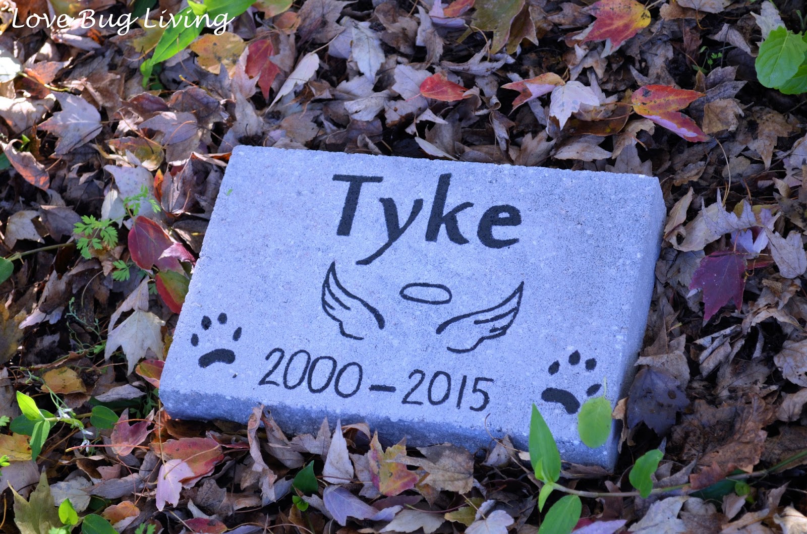Love Bug Living Pet Memorial Stone DIY