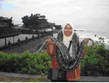bali, indonesia (dec 2007)