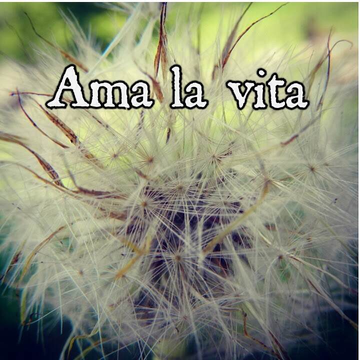 Ama la vita