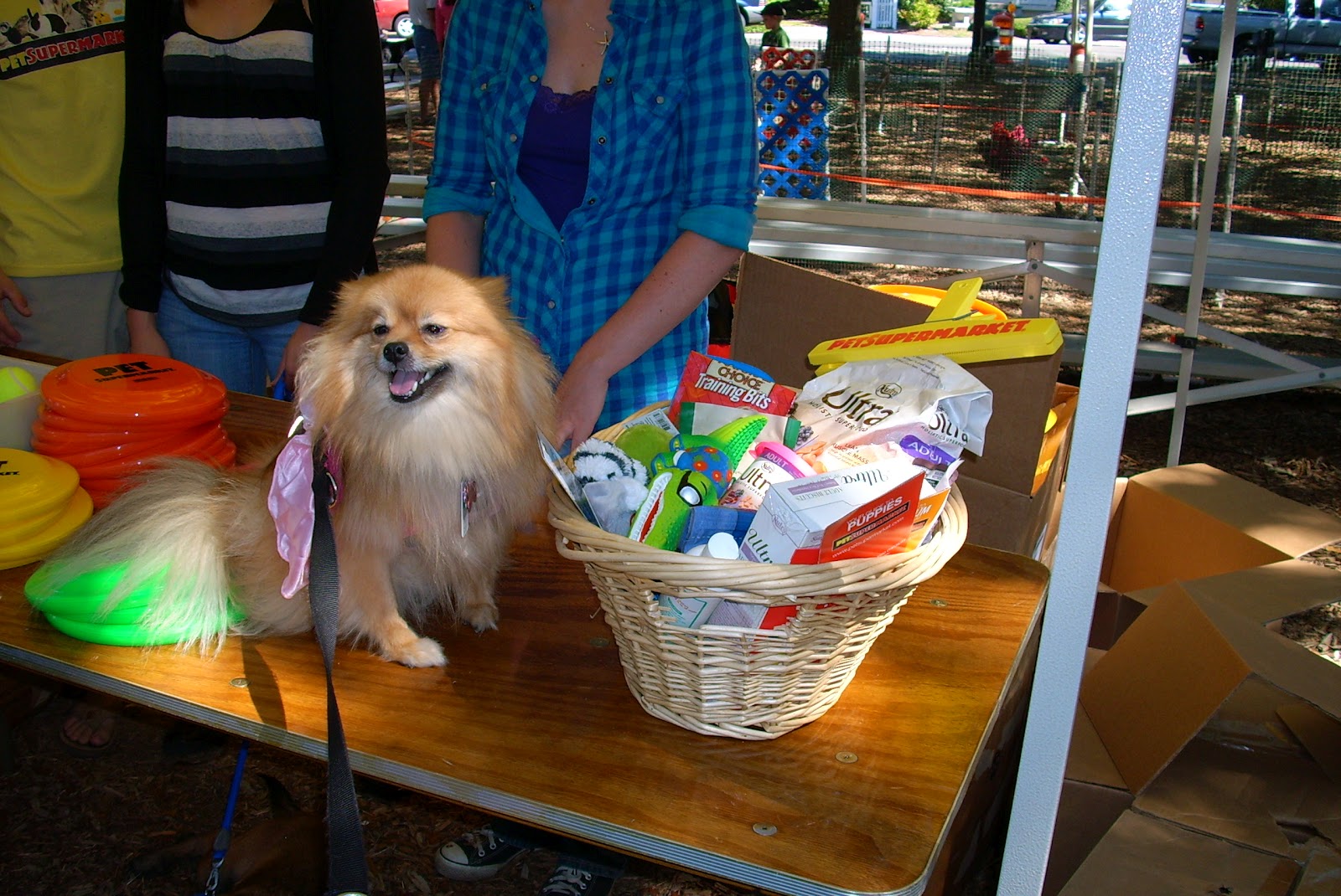 Pepper's Paws Nutro Grain Free Venison and Potato Product Review of