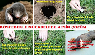 25 aralik 2013 carsamba