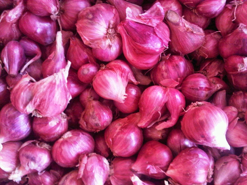 Healty Health Benefits of Shallot for your body