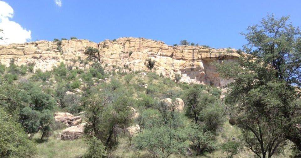 Birding Is Fun! Beyond the Bins in Baja Arizona