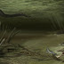 Giant Ancient Crocodile Uncovered in Colombia