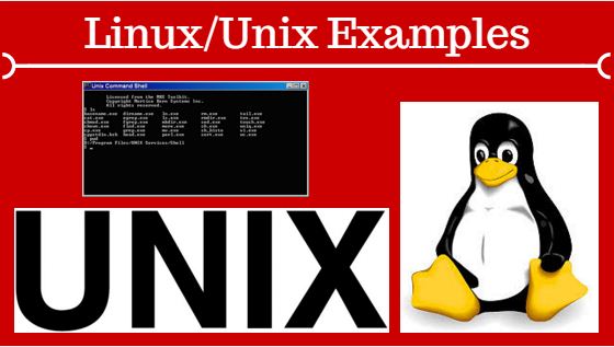 Linux/Unix Command Examples