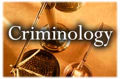 what jobs besides working with the police can get with a degree in jobs with a criminology degree