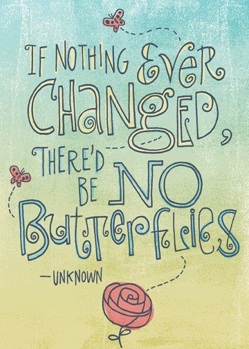 If nothing ever changed, there'd be no butterflies.