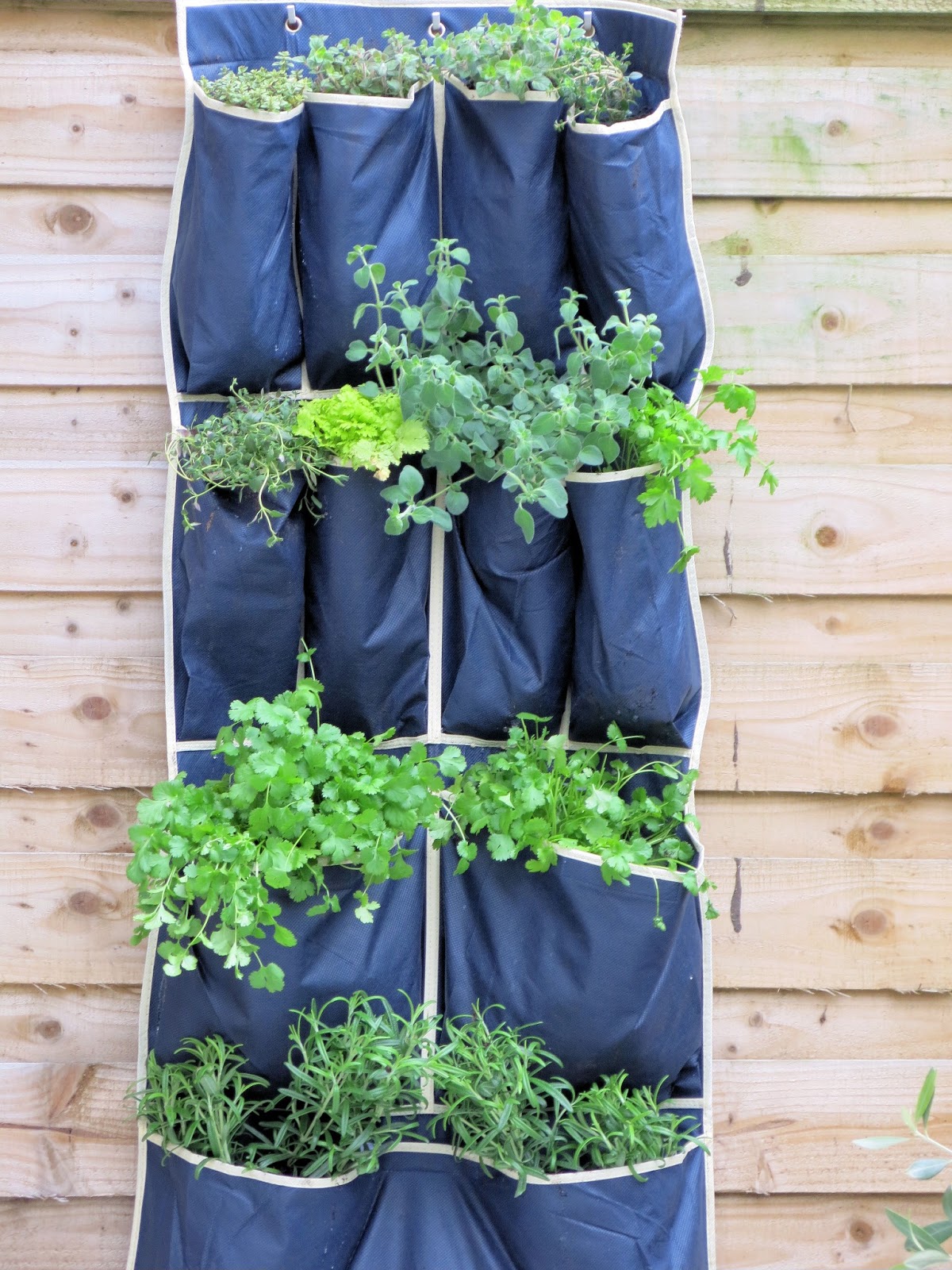 Secret Garden Club: Space-saving techniques for herbs
