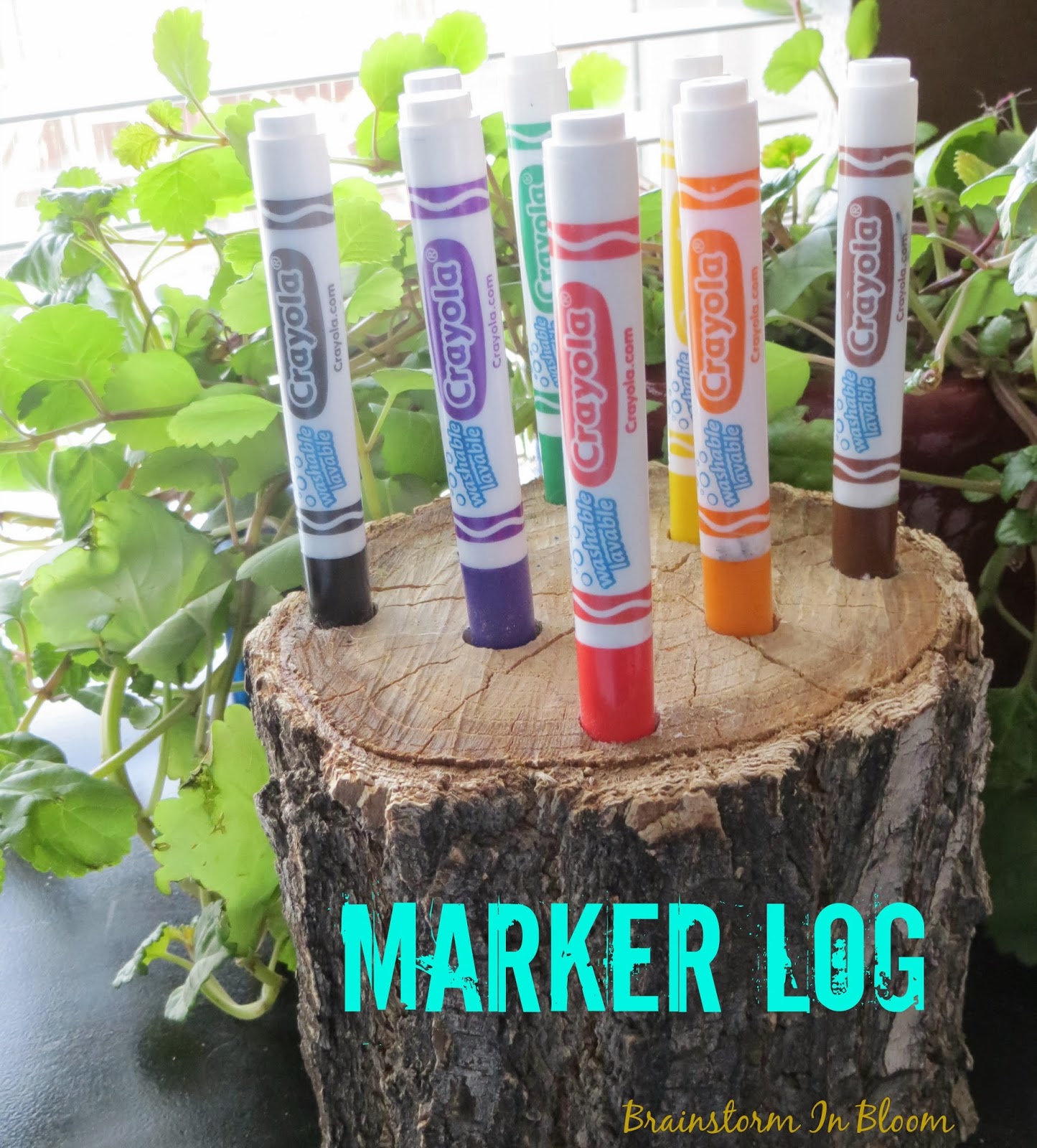 Brainstorm in Bloom Marker Log