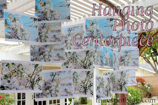 A hanging centerpiece using photos and branches.