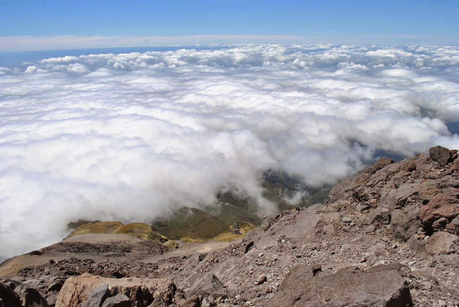 Polished Prism aahhhh New Zealand