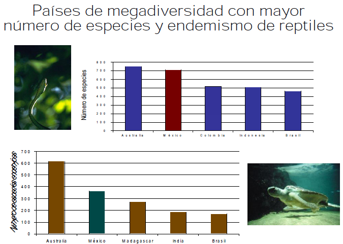 Paises con mayor numero de endemismos de reptiles en el mundo