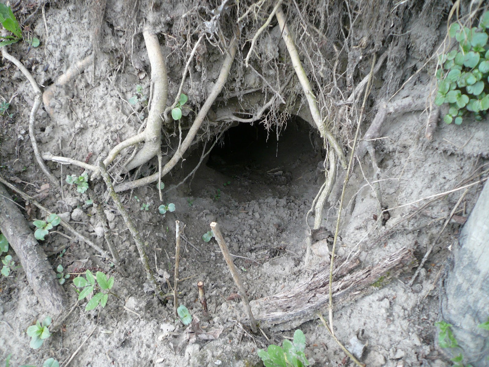 Gisi�s Blog Von Tag zu Tag Mist! Der Schlüssel ist weg!