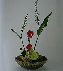 台灣花藝 淨夏國度 園藝部落格 Igarden 花寶愛花園園藝文摘plus