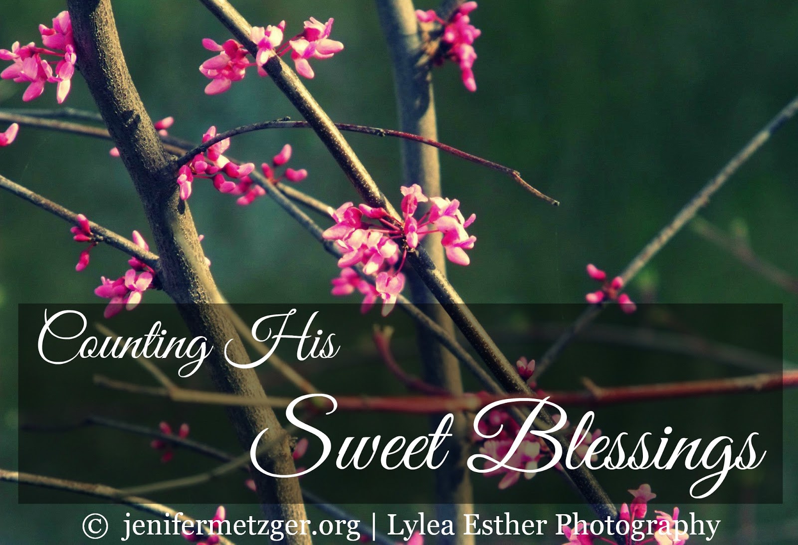 Counting His Sweet #blessings. #thanksgiving #gratefulness #joydare
