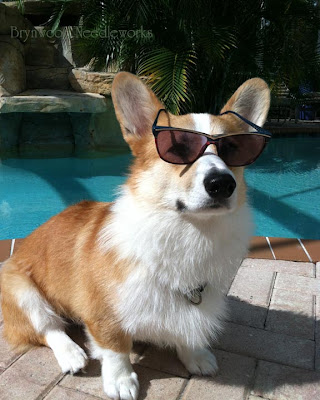 Corgi Sunglasses